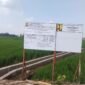 Salah satu sampel progres 30 % kegiatan P3TGAI dari Kelompok P3A lampis, Desa Kemranggon, Kecamatan Susukan, Kabupaten Banjarnegara.(Dok.foto Pelita News.id)