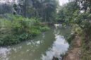 Kondisi DAM Kali Kepuh saat ini, sangat berguna dan bermanfaat jika kemarau tiba di Desa Brengkok.(Dok.PelitaNews.id)