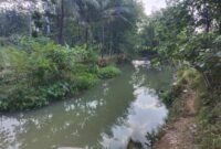 Kondisi DAM Kali Kepuh saat ini, sangat berguna dan bermanfaat jika kemarau tiba di Desa Brengkok.(Dok.PelitaNews.id)
