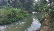 Kondisi DAM Kali Kepuh saat ini, sangat berguna dan bermanfaat jika kemarau tiba di Desa Brengkok.(Dok.PelitaNews.id)