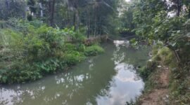Kondisi DAM Kali Kepuh saat ini, sangat berguna dan bermanfaat jika kemarau tiba di Desa Brengkok.(Dok.PelitaNews.id)