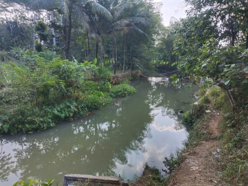 Kondisi DAM Kali Kepuh saat ini, sangat berguna dan bermanfaat jika kemarau tiba di Desa Brengkok.(Dok.PelitaNews.id)
