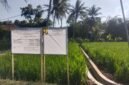 Program P3TGAI semakin tingkatkan tata kelola ke jaringan jaringan sawah yang tak terjangkau oleh air irigasi.(Dok.PelitaNews id)