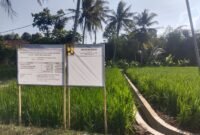 Program P3TGAI semakin tingkatkan tata kelola ke jaringan jaringan sawah yang tak terjangkau oleh air irigasi.(Dok.PelitaNews id)