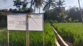 Program P3TGAI semakin tingkatkan tata kelola ke jaringan jaringan sawah yang tak terjangkau oleh air irigasi.(Dok.PelitaNews id)