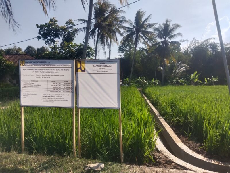 Program P3TGAI semakin tingkatkan tata kelola ke jaringan jaringan sawah yang tak terjangkau oleh air irigasi.(Dok.PelitaNews id)