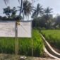 Program P3TGAI semakin tingkatkan tata kelola ke jaringan jaringan sawah yang tak terjangkau oleh air irigasi.(Dok.PelitaNews id)