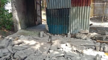 Gempa Dahsyat M7,7 Guncang Flores, Puluhan Warga Tewas dan Ratusan Bangunan Rusak
