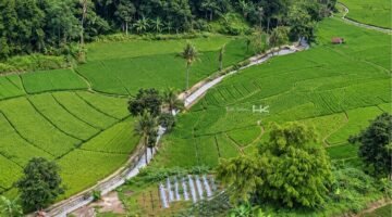Irigasi Cimanuk Cisanggarung Hasil Rehabilitasi Hutama Karya Perkuat Ketahanan Pangan di Jawa Barat