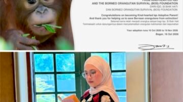 “Habis Karhutla Terbitlah Sawit”, Putri Nabila Desak Penegakan Hukum terhadap Perusak Hutan